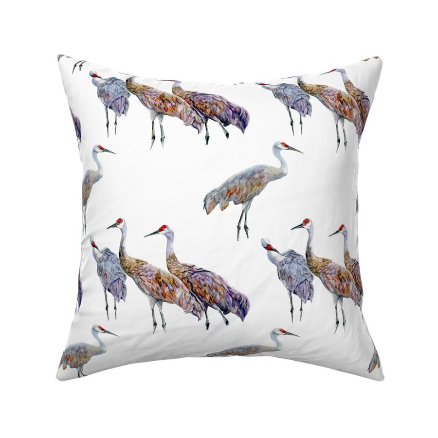 Sandhill Cranes Small