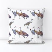 Sandhill Cranes Small