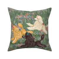 Toy Poodles in Wildflower Field for Pillow