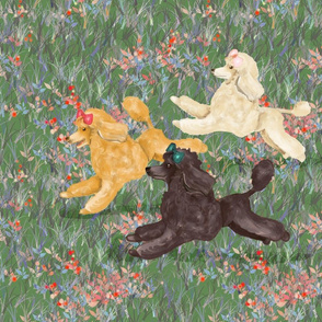 Toy Poodles in Wildflower Field for Pillow