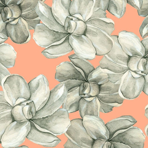 White Flowers on Peach - Large Scale