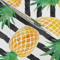 (jumbo scale) pineapples - watercolor on black stripes C18BS