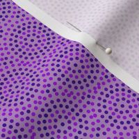 Spots and Dots Purple