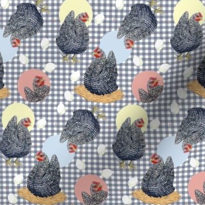 Gingham Plymouth Rock Hens