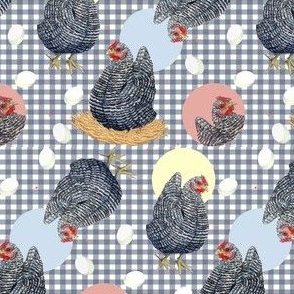 Gingham Plymouth Rock Hens