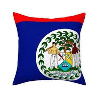 Urbanhood belize-flag