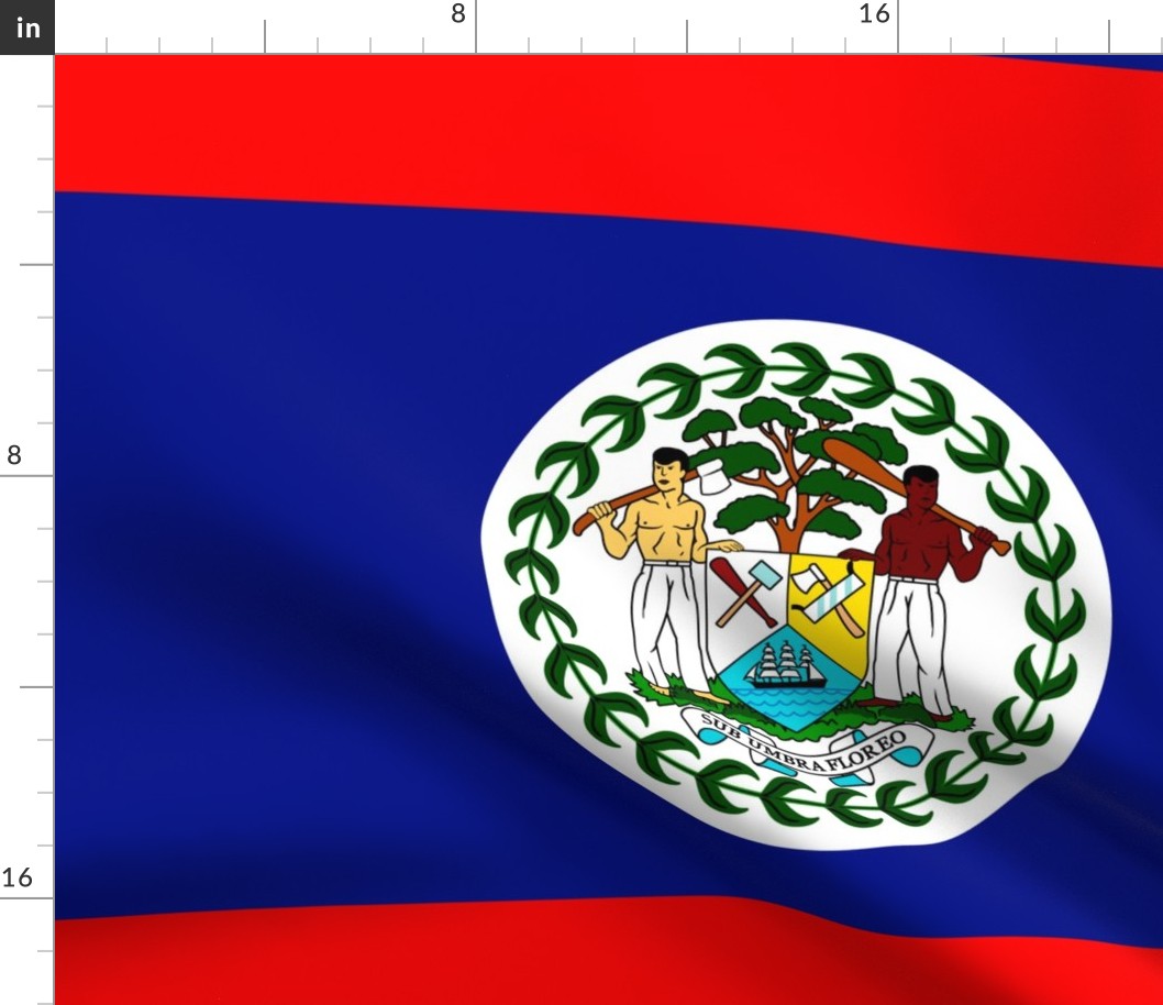 Urbanhood belize-flag