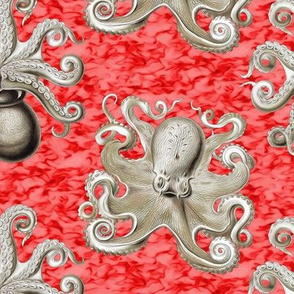 Haeckel's octopus tan+red ink