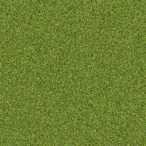 CD1 - Olive Green Texture
