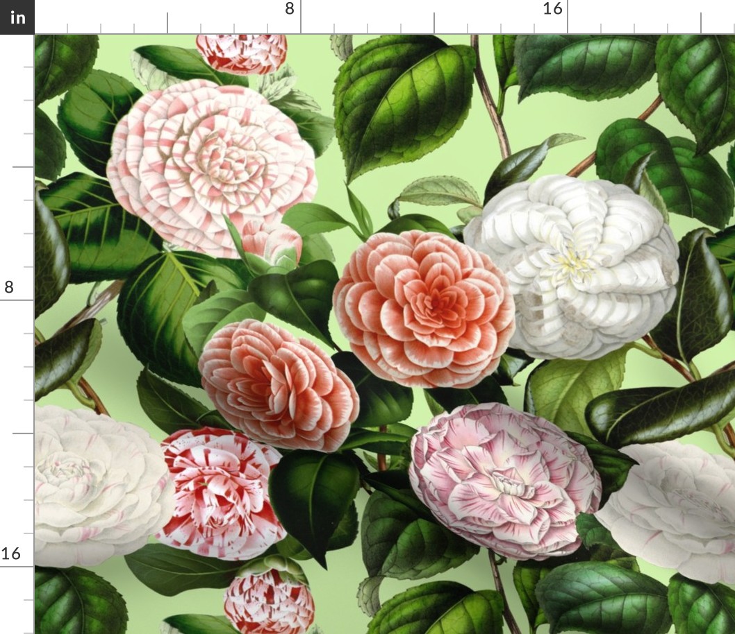 18" Camellia Pattern