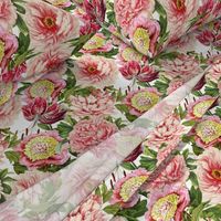 10" Pierre-Joseph Redouté, Antique Peony and Lily Pattern