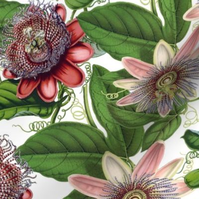 12"  Passiflora Vintage Pattern- Large Designed by UtART at https://www.facebook.com/UtArt.Home Available for custom pattern projects. Contact me at utart_home@gmx.net 