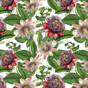 12"  Passiflora Vintage Pattern- Large Designed by UtART at https://www.facebook.com/UtArt.Home Available for custom pattern projects. Contact me at utart_home@gmx.net 