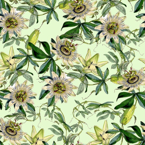 18" White Passionflowers on  green