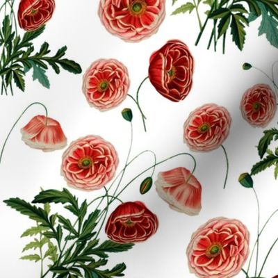 10" Poppy Flower Vintage Pattern