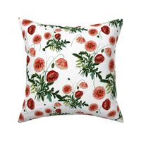 10" Poppy Flower Vintage Pattern