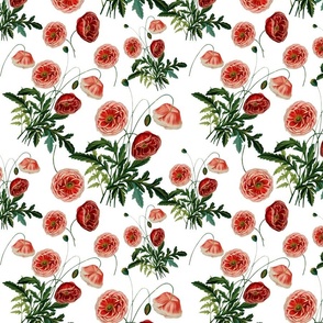 10" Poppy Flower Vintage Pattern