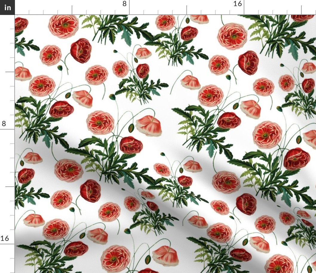 10" Poppy Flower Vintage Pattern