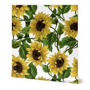 10“ Sunflowers on White 