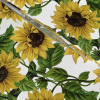 10“ Sunflowers on White 