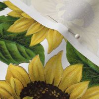 10“ Sunflowers on White 