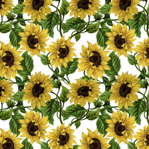 10“ Sunflowers on White 