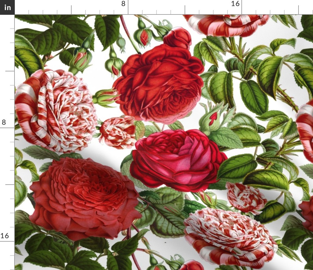 18"  Pierre-Joseph Redouté- Pierre-Joseph Redoute- Redouté fabric,English Rose Fabric,Roses fabric-Redoute roses- Red and White Vintage Roses