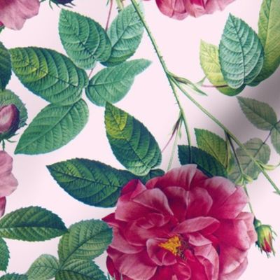 Mystic Nostalgic Dark Pink Pierre-Joseph Redouté Flowers, Antique Bloom Bouquets, Vintage Home Decor,   English Rose Springflowers Fabric - pink