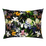 18" nostalgic Pierre-Joseph Redouté - Iris Flowers Bunches on black, Mystic Night dark moody floral 32 Vintage home decor, antique wallpaper,