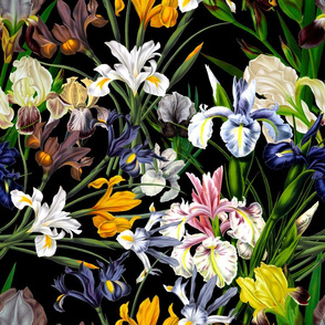 18" nostalgic Pierre-Joseph Redouté - Iris Flowers Bunches on black, Mystic Night dark moody floral 32 Vintage home decor, antique wallpaper,