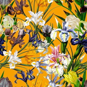 18" Pierre-Joseph Redouté Flowers,Iris Bunches on orange