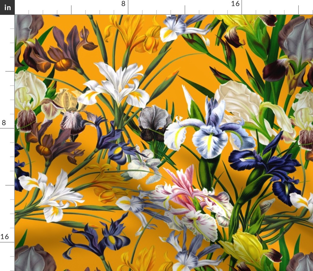 18" Pierre-Joseph Redouté Flowers,Iris Bunches on orange