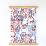 Anatomy x-ray pattern