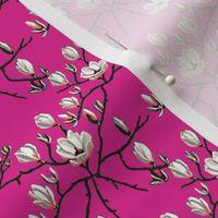 Magnolia flower// hot pink Floral