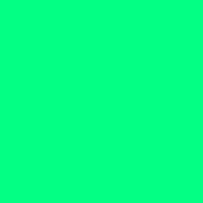 CSMC14 - Vibrant Green Pastel Solid