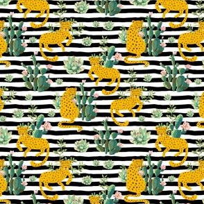 4" Jungle Cactus Leopard - Black and White Stripes