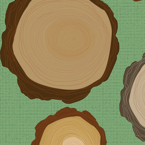 tree ring