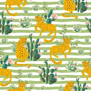 8" Jungle Cactus Leopard - Green Stripes