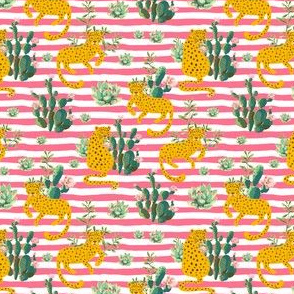 4" Jungle Cactus Leopard - Summer Pink Stripes