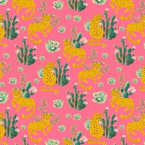 4" Jungle Cactus Leopard - Summer Pink