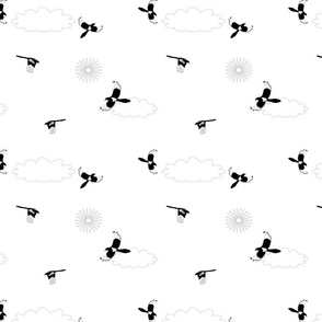 jumbo Magpies flying clouds white