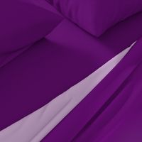 CSMC21 - Profound Purple Solid