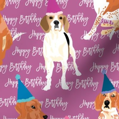 Coonhound-Birthday