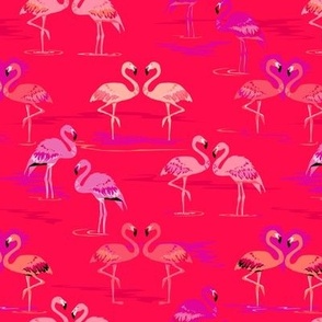 Flamingos love red