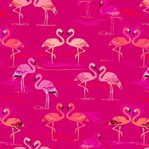 Flamingos love raspberry