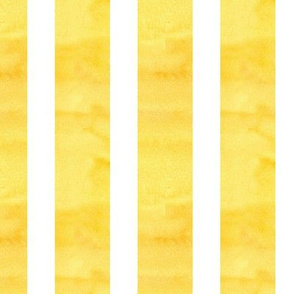 White Stripe on Yellow