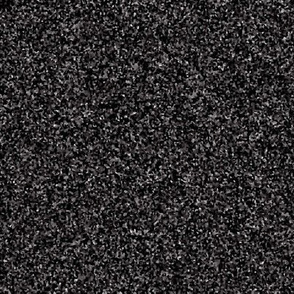 CSMC25 - Speckled Charcoal Grey Texture