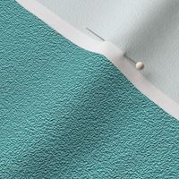 CSMC28 - Rustic Teal Green Pastel Sandstone Texture