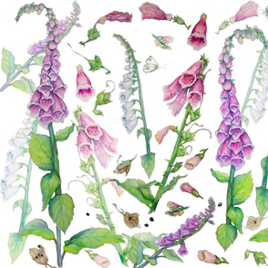 Foxgloves Layered