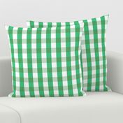 Garden Green and White Gingham Check